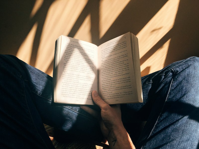 A reader holding an open paperback in afternoon light